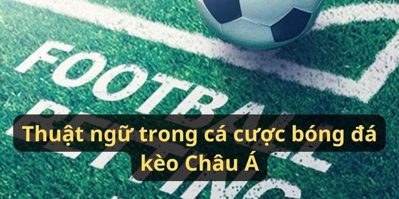 Thuật ngữ trong cá cược bóng đá kèo Châu Á Thuật ngữ trong kèo bóng đá kèo Châu Á