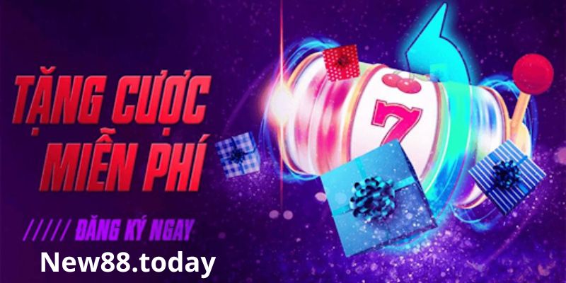 Tiền cược miễn phí là gì? Tiền cược miễn phí là gì?